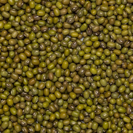 Mungbönor